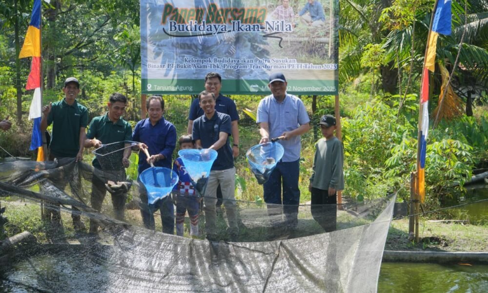 Transformasi PETI melalui Panen Bersama Budidaya Ikan Nila di Desa Tanjung Agung Transformasi PETI melalui Panen Bersama Budidaya Ikan Nila di Desa Tanjung Agung.