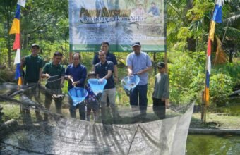 Transformasi PETI melalui Panen Bersama Budidaya Ikan Nila di Desa Tanjung Agung.