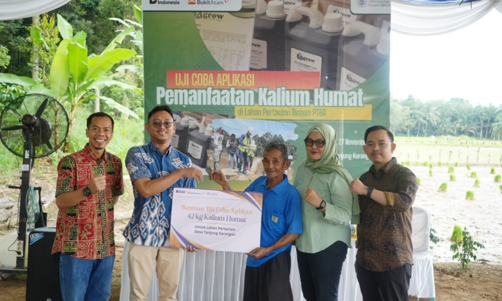 Langkah Nyata PTBA Tingkatkan Hasil Panen Petani Muara Enim Lewat Uji Coba Pemanfaatan Kalium Humat Langkah Nyata PTBA Tingkatkan Hasil Panen Petani Muara Enim Lewat Uji Coba Pemanfaatan Kalium Humat