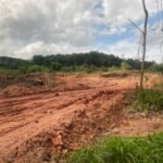 Jadwal Penukaran Uang Baru Lebaran 2026 di Palembang, Cek Lokasi dan Cara Daftar Polda Sumsel Segel Lokasi Tambang Tanpa Izin di Kabupaten Banyuasin, Amankan Alat Berat