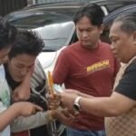 Perkuat Sinergi Pemprov dan DPRD Sumsel, Sekda Edward Candra Hadiri Pengajian Ramadan Polda Sumsel, Gagalkan, Transaksi ,Penjualan Bayi ,Perempuan ,Senilai Rp52 Juta , Amankan 2 Pelaku
