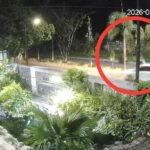 Staf Bawaslu OKU Selatan Bersimbah Darah dalam Kamar Kontrakan, Luka Sabetan di Leher Aksi Kejahatan Jalanan di Prabumulih Viral, Mahasiswi Kehilangan Sepeda Motor