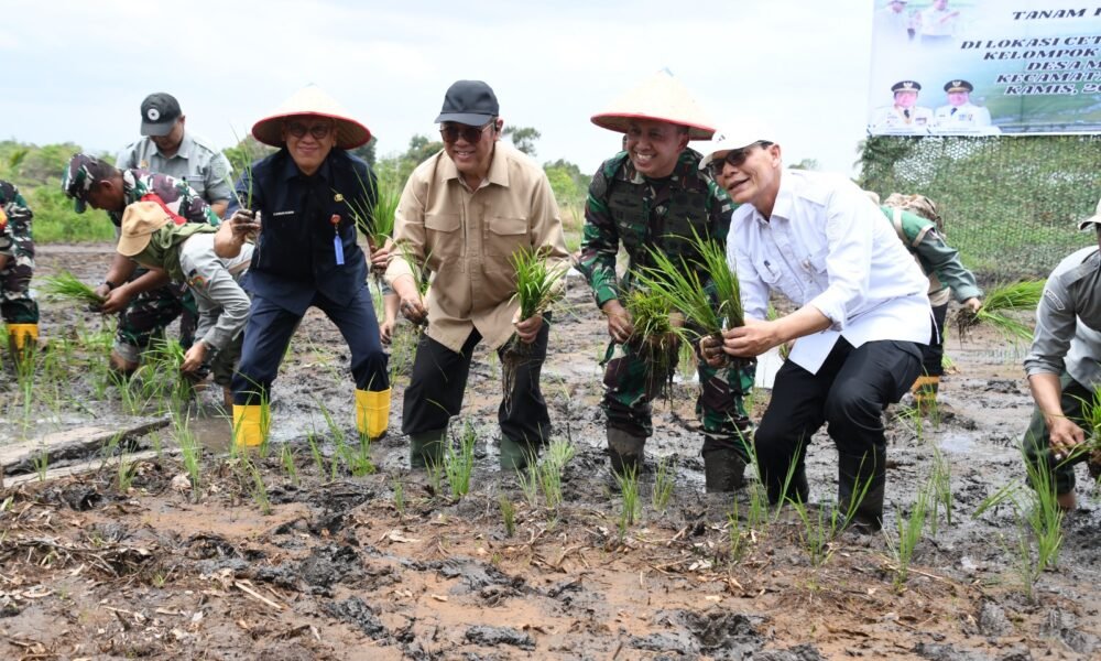 Dukung Program Ketahanan Pangan Nasional, Danrem 044/Gapo Tanam Padi Serentak di Lahan CSR Dukung Program Ketahanan Pangan Nasional, Danrem 044/Gapo Ikut Tanam Padi Serentak di Lahan CSR