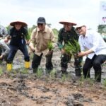 9 Bulan Diburu, Jatanras Polda Sumsel Tangkap Pelaku Perampas iPhone di Palembang Dukung Program Ketahanan Pangan Nasional, Danrem 044/Gapo Ikut Tanam Padi Serentak di Lahan CSR