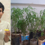 Gubernur Herman Deru Ajak Mahasiswa Gunakan AI Secara Bijak Petani di Empat Lawang Tanam Ganja di Dapur Rumah Berujung Diringkus Polisi