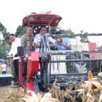 Pusatkan Panen Raya di OKU Selatan, Polda Sumsel Pasok Puluhan Ton Jagung ke Bulog Sinergi Lintas Sektor, Kapolda Sumsel Pimpin Panen Raya Jagung dan Dorong Swasembada Pangan