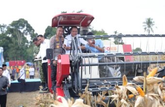 Sinergi Lintas Sektor, Kapolda Sumsel Pimpin Panen Raya Jagung dan Dorong Swasembada Pangan