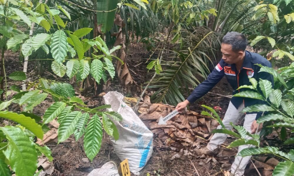 Polisi Ungkap Kasus Pembunuhan Modus Amuk Massa di OKU Selatan, Satu Pelaku Ditangkap Polisi Ungkap Kasus Pembunuhan Modus Amuk Massa di OKU Selatan, Satu Pelaku Ditangkap