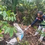 Polisi Ungkap Kasus Pembunuhan Modus Amuk Massa di OKU Selatan, Satu Pelaku Ditangkap