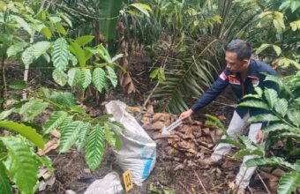 Polisi Ungkap Kasus Pembunuhan Modus Amuk Massa di OKU Selatan, Satu Pelaku Ditangkap