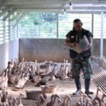 OTT di Muara Enim, KPK Sikat Bupati Usai Pimpin Apel Bulanan, Segel Rumdin dan 8 Ruangan Pemkab