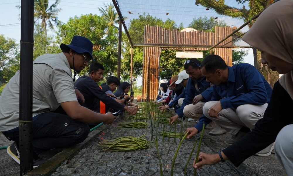PTBA Resmikan NUSA di Pasir Sakti, Perkuat Rehabilitasi Mangrove Berbasis Masyarakat PTBA Resmikan NUSA di Pasir Sakti, Perkuat Rehabilitasi Mangrove Berbasis Masyarakat