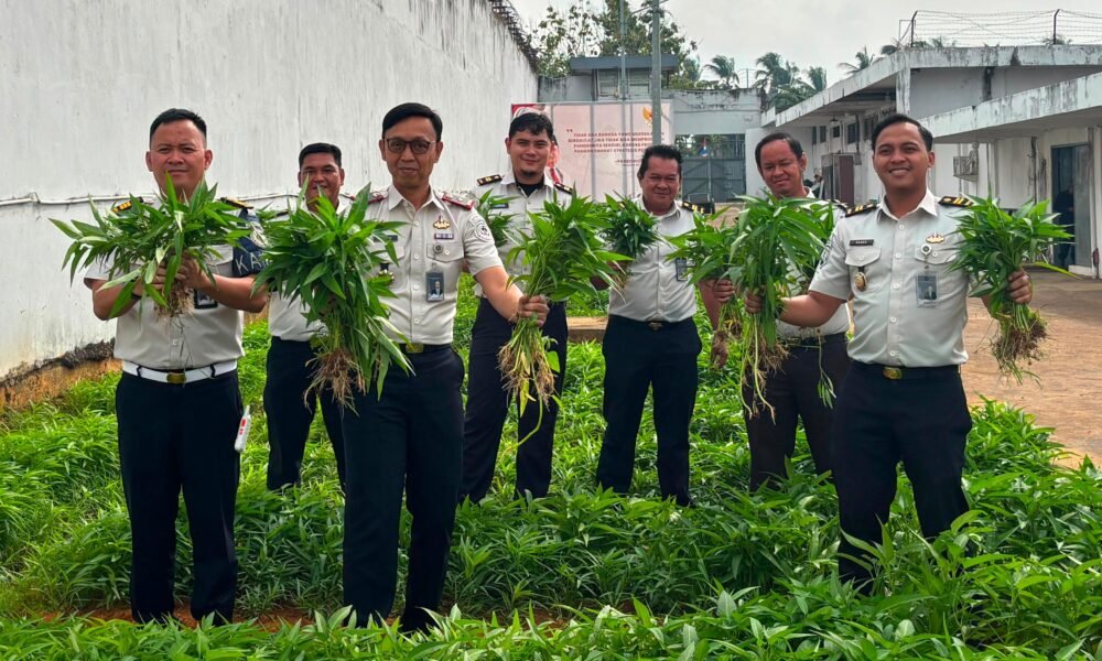 Perkuat Program Ketahanan Pangan Nasional, Rutan Palembang Panen Puluhan Kilogram Kangkung