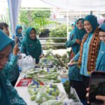 Ketua TP PKK Provinsi Sumatera Selatan, Feby Herman Deru, tampak berjongkok memetik dan memanen hasil budidaya yang dikelola ibu-ibu PKK bersama warga. (Foto: Yulie)