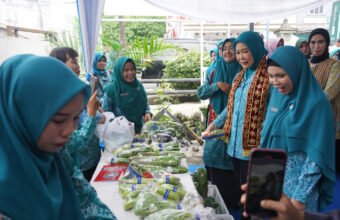 Ketua TP PKK Provinsi Sumatera Selatan, Feby Herman Deru, tampak berjongkok memetik dan memanen hasil budidaya yang dikelola ibu-ibu PKK bersama warga. (Foto: Yulie)