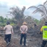 Nyaris Meregang Nyawa! Petani 62 Tahun di Pagaralam Diikat dan Disekap di Kebun