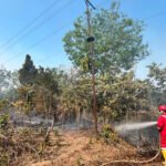 SKK Migas Gelar Kuliah Umum di Unsri, 700 Mahasiswa Didorong Siap Hadapi Industri Energi