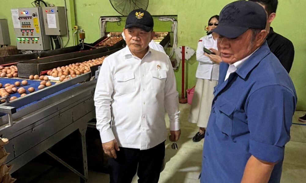Herman Deru Dampingi Kepala Staf Kepresidenan Tinjau Peternakan Ayam Petelur di Banyuasin