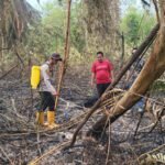 Jaga Keandalan Listrik, PLN ULP Muaradua Perbaiki Konstruksi Jaringan di OKU Selatan